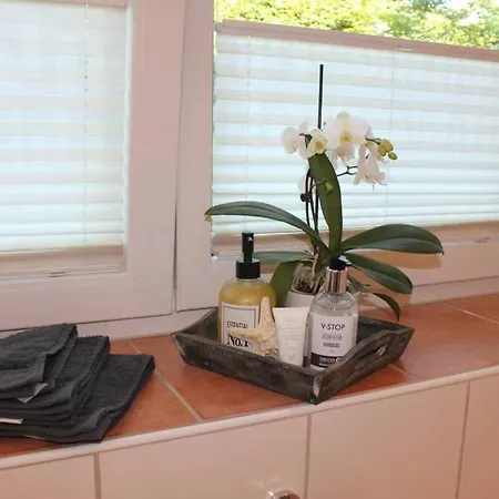 Flohrs Ferienwohnung Apartment Singen